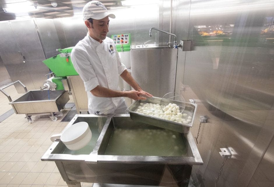 Ein Spezialist stellt in einer kleinen Käserei im Marketplace Buffet Restaurant an Bord des Kreuzfahrtschiffs "MSC Grandiosa" frischen Mozzarella her. Foto: Christian Charisius/dpa/dpa-tmn