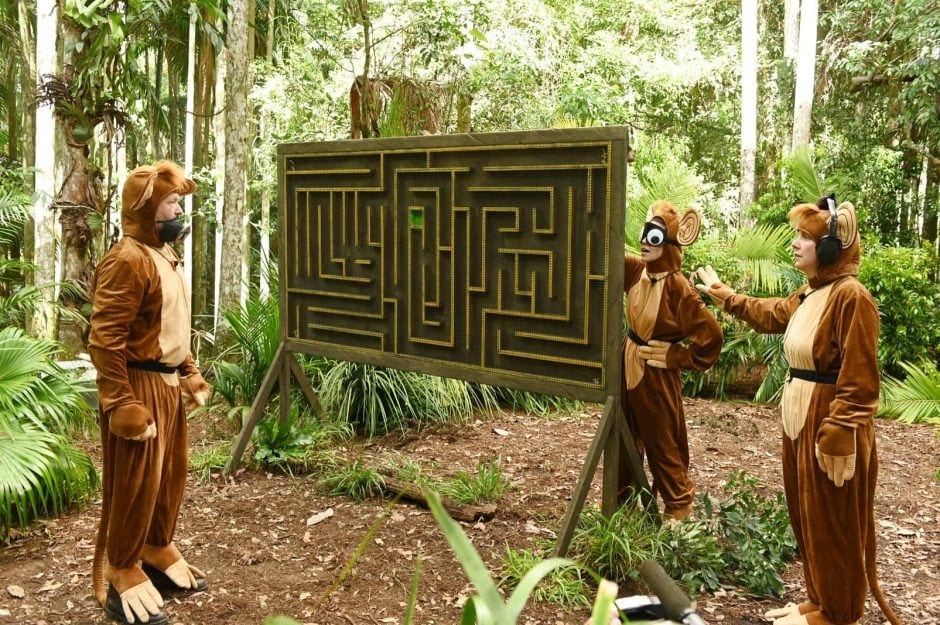 In ihren Affenkostümen mussten die drei Schatzsucher gemeinsam vier Schlüssel in einem aufgestellten Labyrinth erkämpfen, um die Schatztruhe zu erspielen. Foto: TVNOW / Stefan Menne