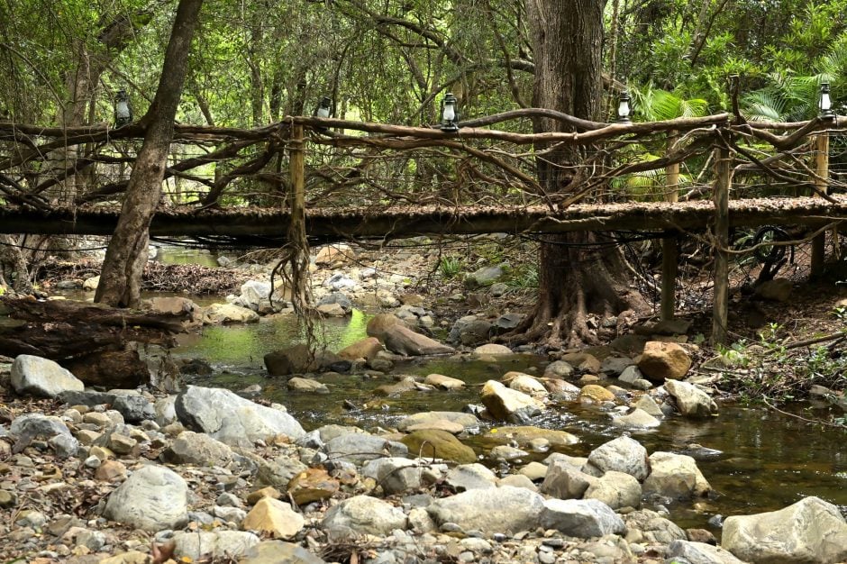 Das Dschungelcamp Brücke