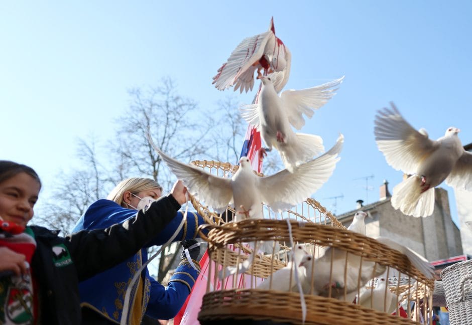 Rosenmontag - Friedensdemonstration in Köln