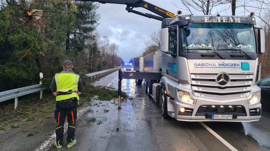 Sturmtief Ylenia in NRW - Baum auf Autobahn