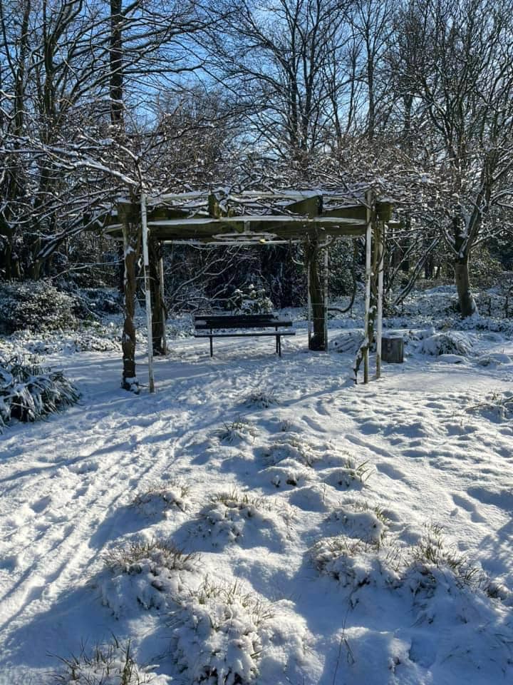 Wetter Düsseldorf Winter Schnee Januar 2024