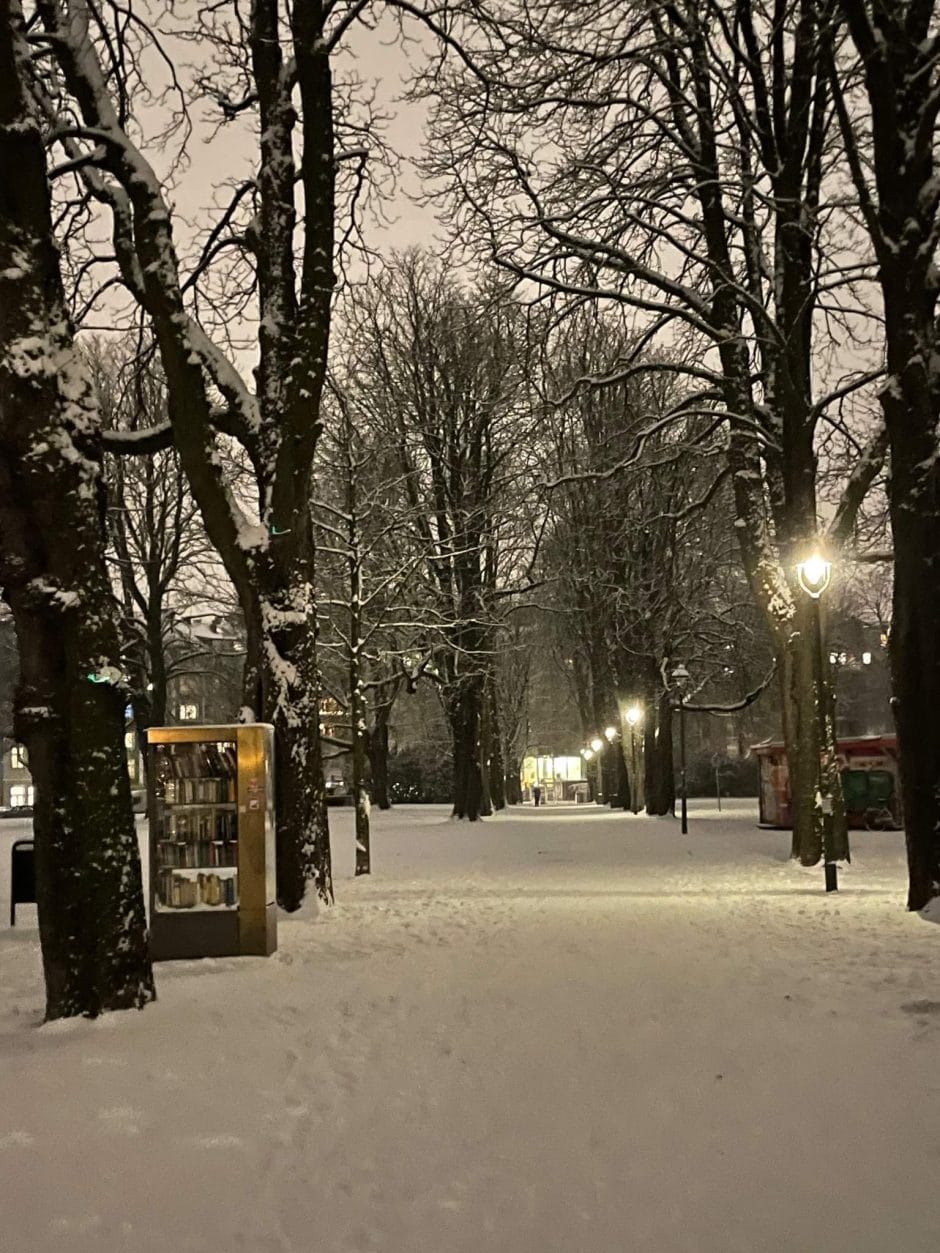 Wetter Düsseldorf Winter Schnee Januar 2024