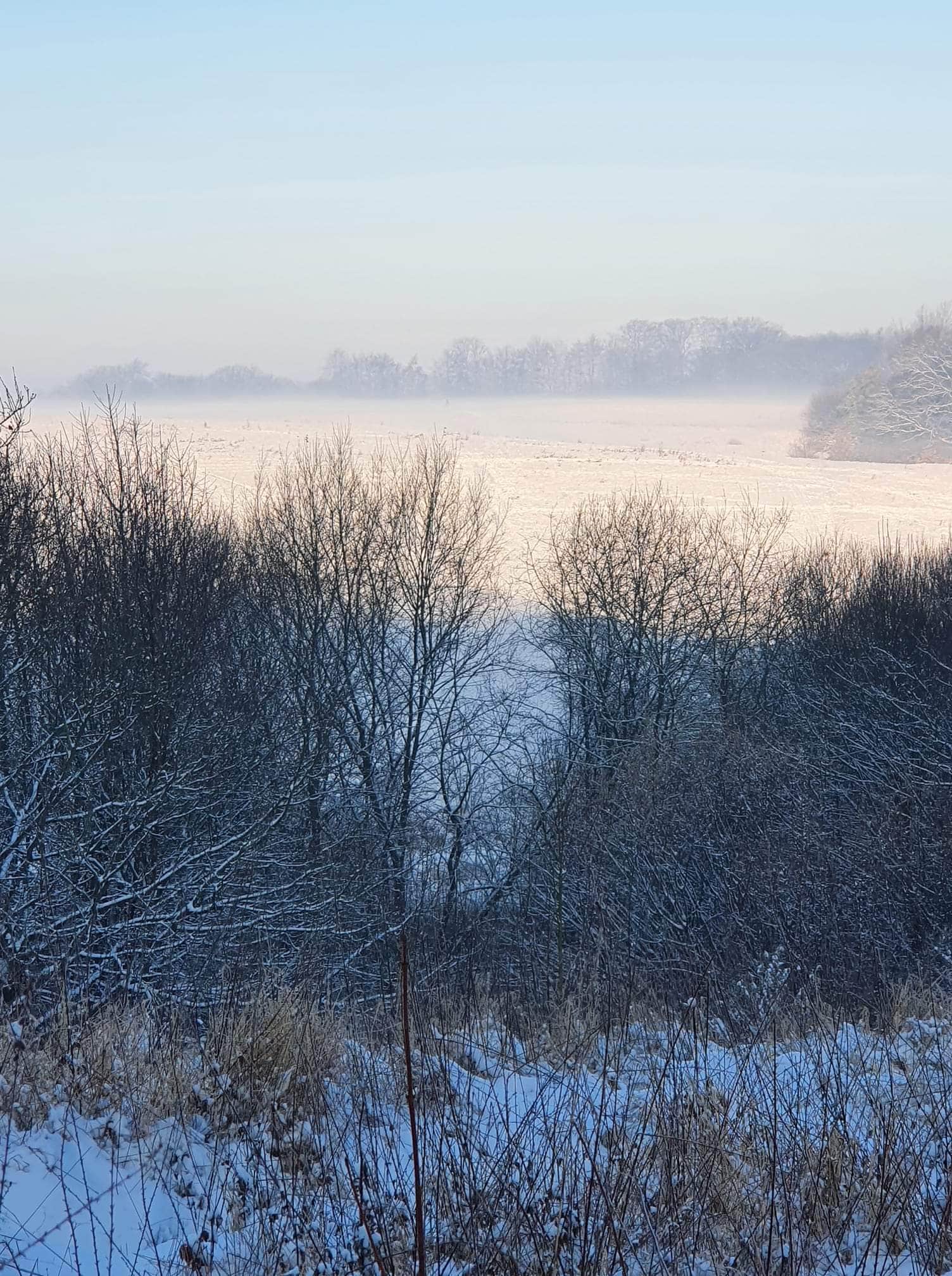 Wetter Düsseldorf Winter Schnee Januar 2024