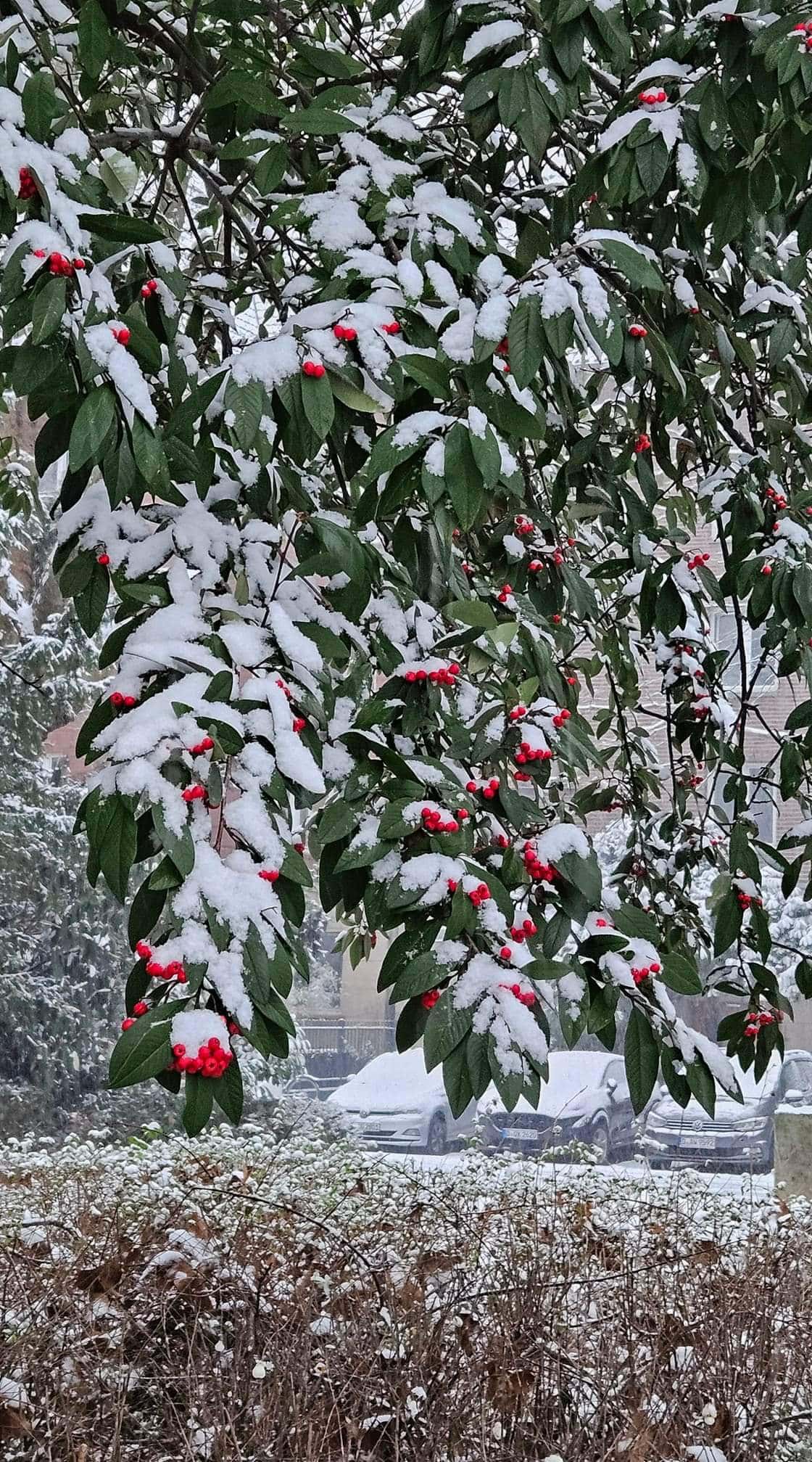 Wetter Düsseldorf Winter Schnee Januar 2024