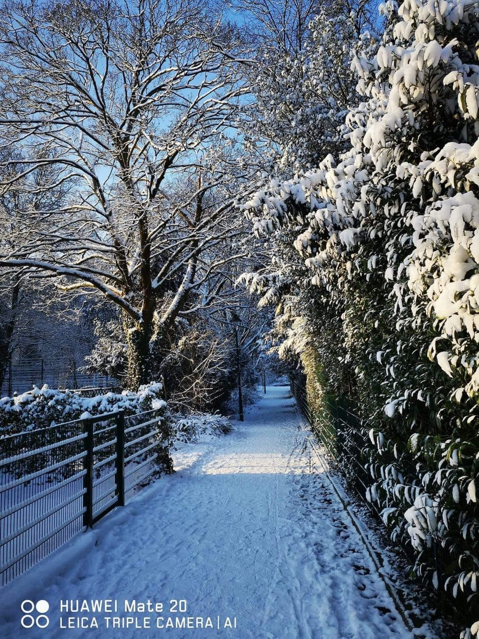 Wetter Düsseldorf Winter Schnee Januar 2024