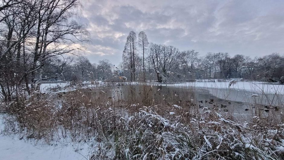 Wetter Düsseldorf Winter Schnee Januar 2024