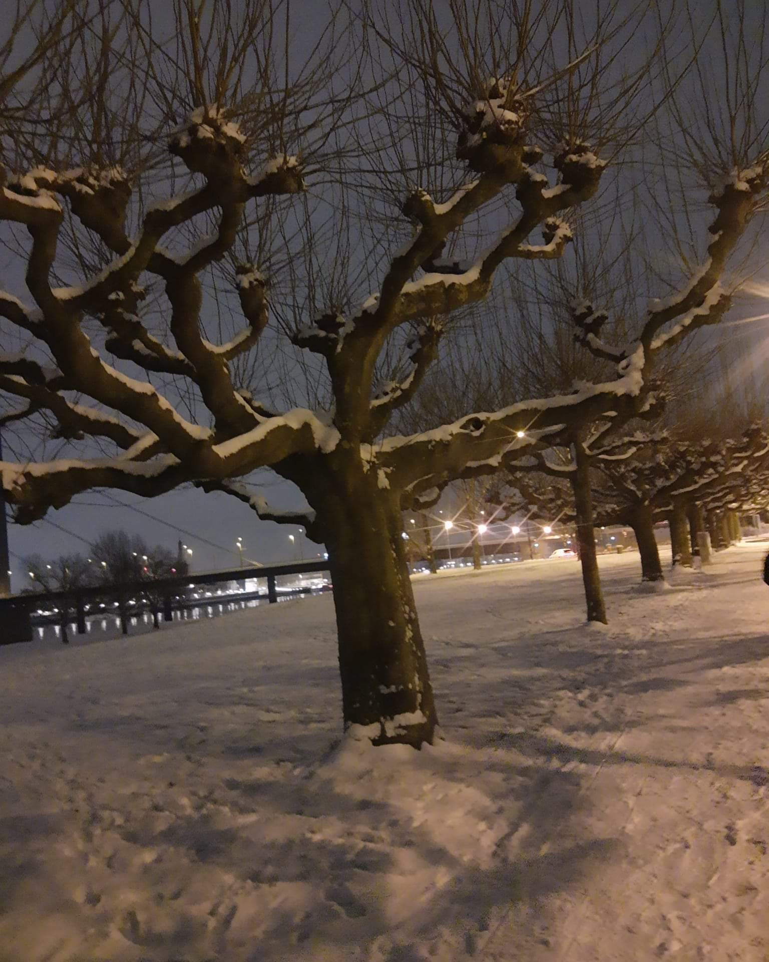 Wetter Düsseldorf Winter Schnee Januar 2024