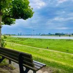 Düsseldorf Rhein Bild des Tages Sommer 2024