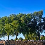 Düsseldorf Sommer Rheinterrasse Wetter