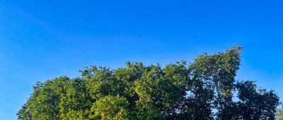 Düsseldorf Sommer Rheinterrasse Wetter