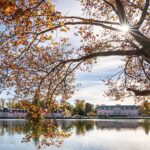 Düsseldorf Wetter Herbst Schloss Benrath