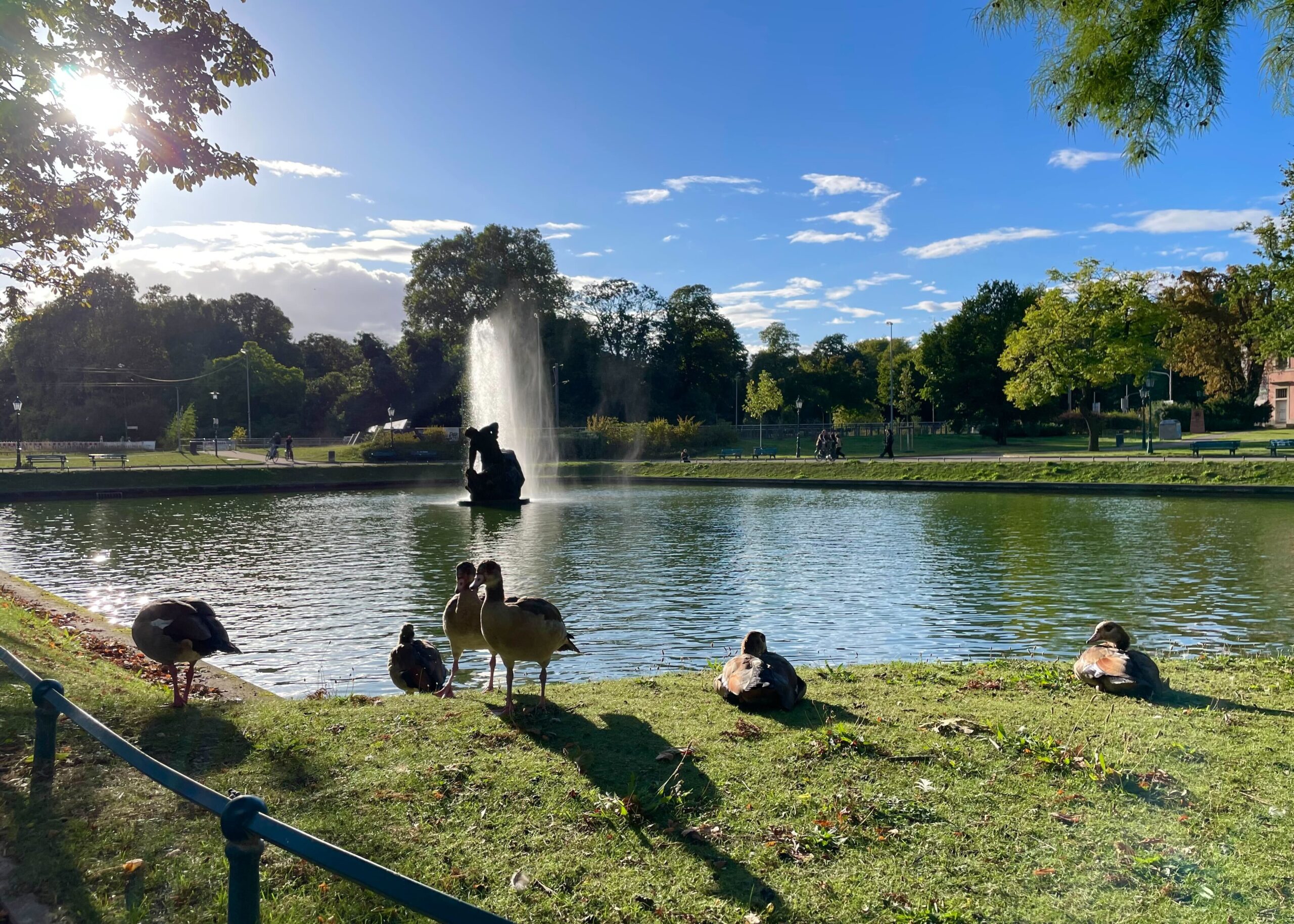 Hofgarten Düsseldorf Herbst Wetter