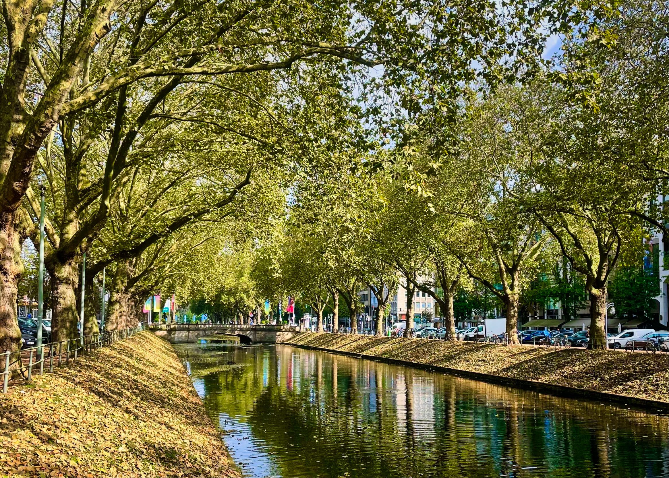 Düsseldorf-Nachrichten: Die wichtigsten Meldungen vom Donnerstag